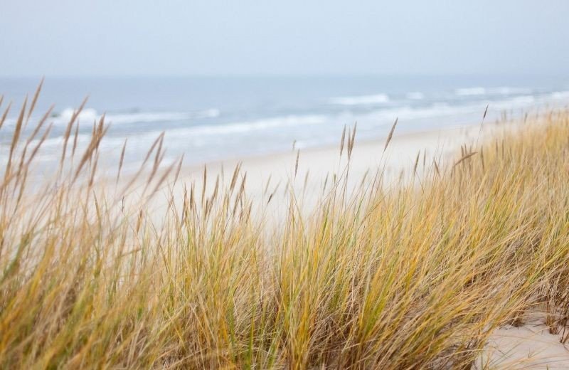 The coast in general