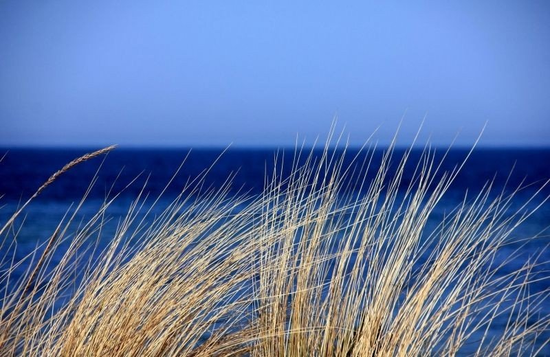 Walraversijde – Oostende, 8 km